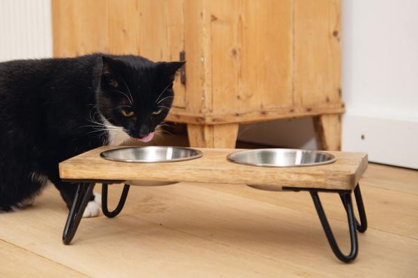 Designed by Lotte Futterbar Linga aus Echtholz für Katzen und kleine Hunde z.B. Chihuahua, Futterstation, Doppelnapf